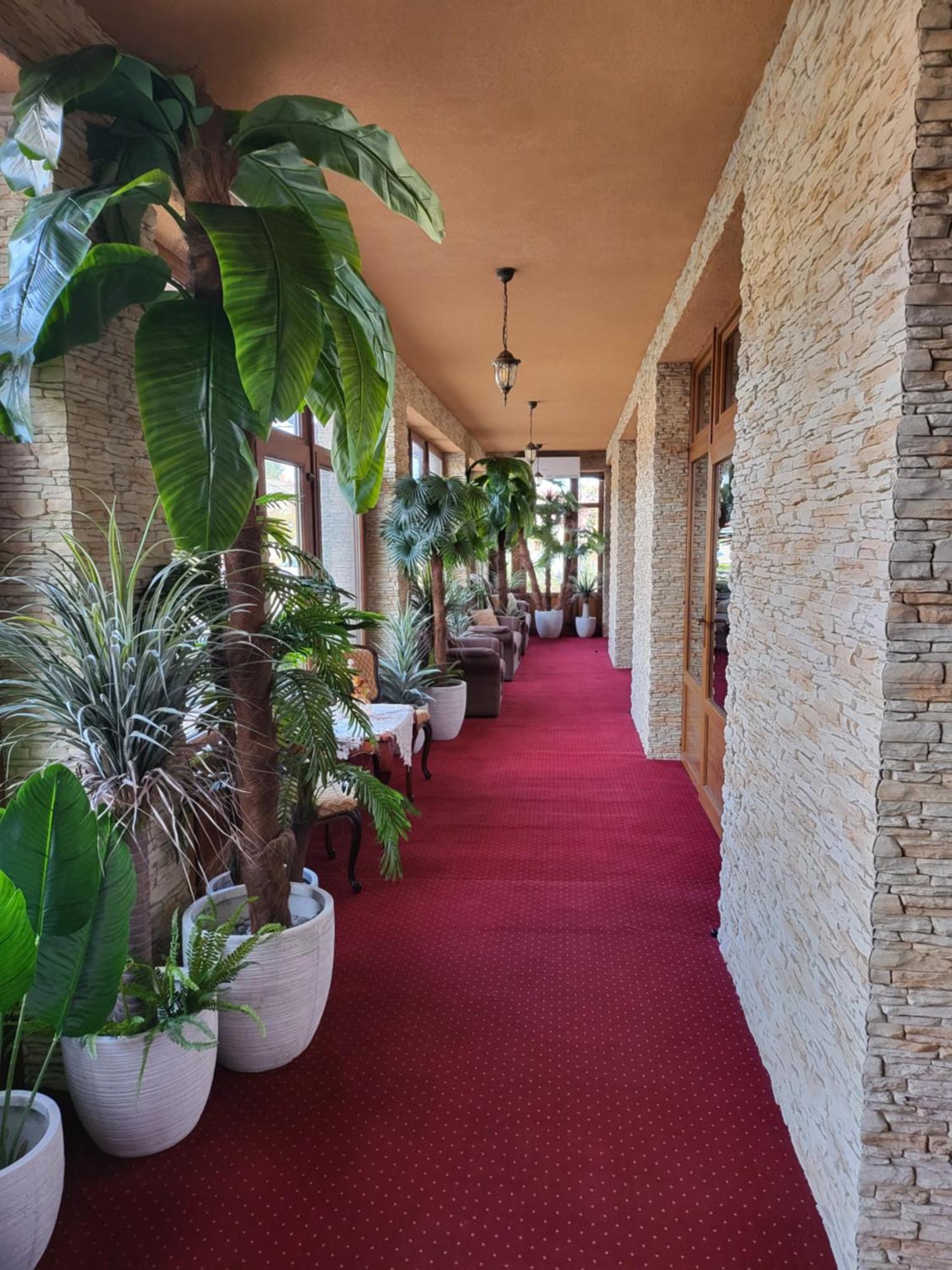 Voeroes Alom Panzio Bed & Breakfast ทิสซาเคชเค ภายนอก รูปภาพ